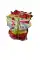 Gold Red Bijili 100